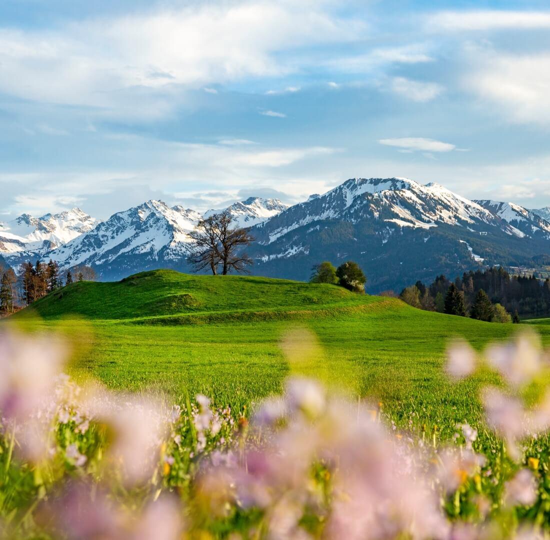 Der wunderschöne Ausblick aus dem Hotel Alpenblick
